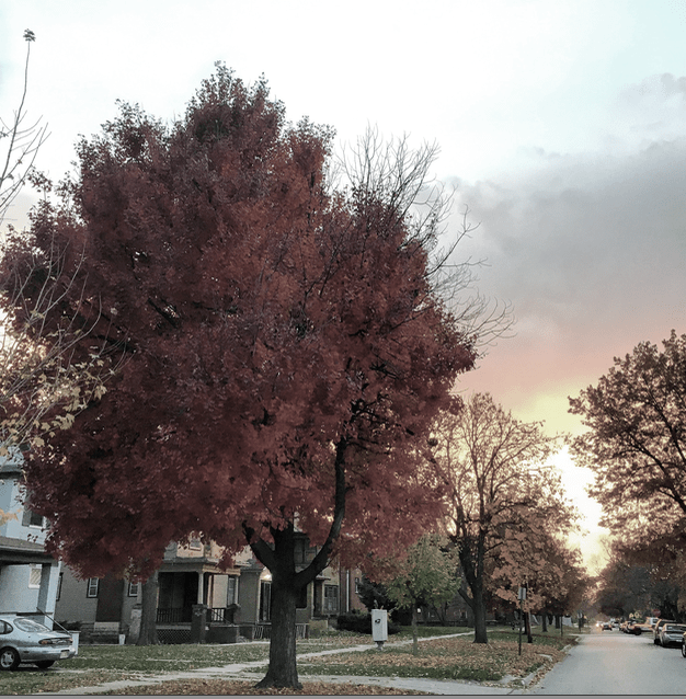 Screen Shot 2017-11-07 at 6.20.39 PM